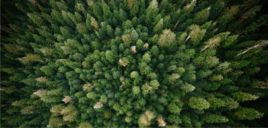 Our New Year's Resolution: 1% For The Planet